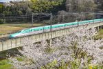 JRE Shinkansen Sakura (C)KENTA MUKAWA