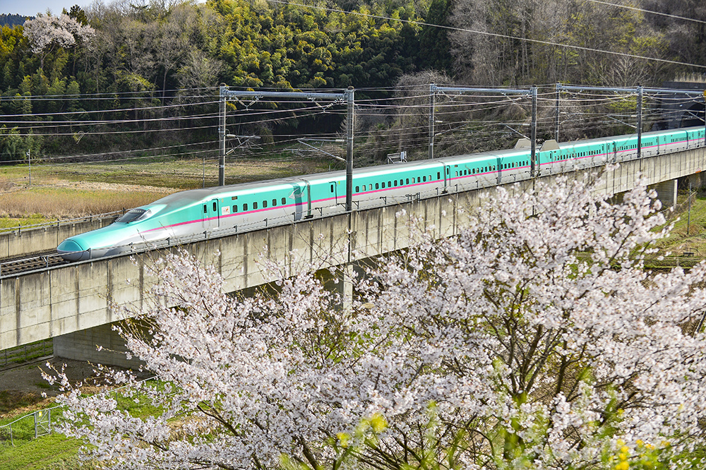 JRE Shinkansen Sakura (C)KENTA MUKAWA